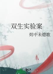 双生实验案